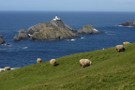 Muckle Flugga Lighthouse, Out Stack, Northernmost Point In UK Behind, Off Herma Ness, Unst